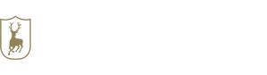 DEERHUNTER